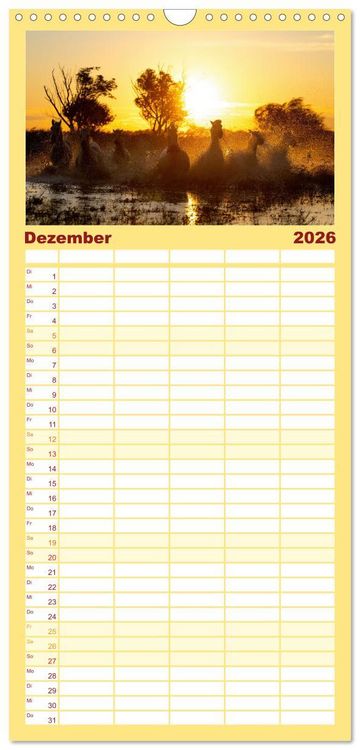 Produktbild: Familienplaner 2026 - Die wei&szlig;en Pferde der Camargue mit 5 Spalten (Wandkalender, 21 x 45 cm) CALVENDO