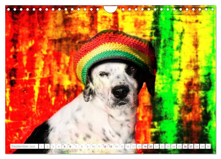 Produktbild: Hund tr&auml;gt Hut (Wandkalender 2026 DIN A4 quer), CALVENDO Monatskalender