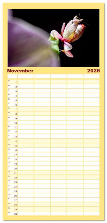Produktbild: Familienplaner 2026 - Im Bann der Mantis mit 5 Spalten (Wandkalender, 21 x 45 cm) CALVENDO