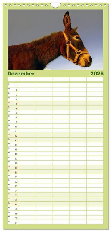 Produktbild: Familienplaner 2026 - Muh, M&auml;h, Miau & Co mit 5 Spalten (Wandkalender, 21 x 45 cm) CALVENDO