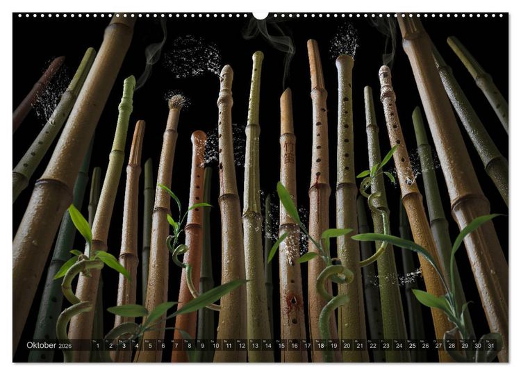 Produktbild: Musica fant&aacute;sia - Die wundersame Welt des Fotok&uuml;nstlers Olaf Bruhn (Wandkalender 2026 DIN A2 quer), CALVENDO Monatskalender