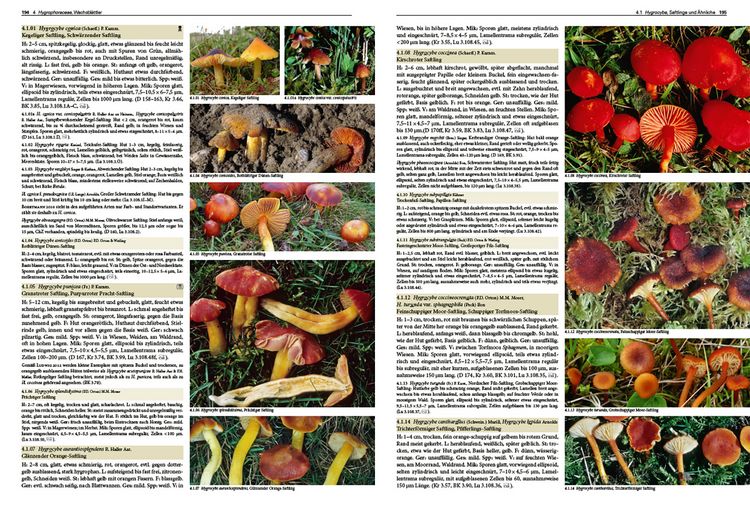 Produktbild: Pilze Mitteleuropas