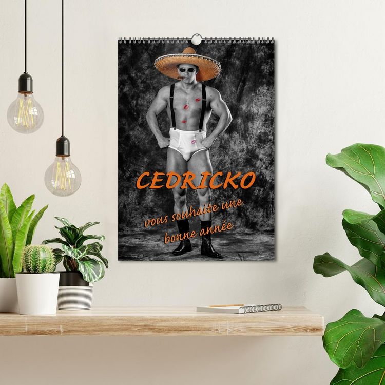 Produktbild: CEDRICKO vous souhaite une bonne ann&eacute;e (Calendrier mural 2026 DIN A3 horizontal), CALVENDO calendrier mensuel