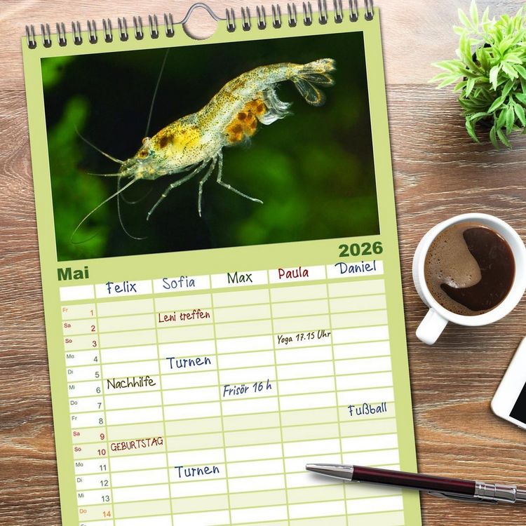 Produktbild: Familienplaner 2026 - Dwarf Shrimps mit 5 Spalten (Wandkalender, 21 x 45 cm) CALVENDO