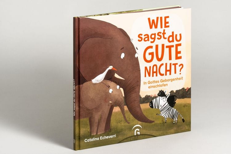 Produktbild: Wie sagst du Gute Nacht?