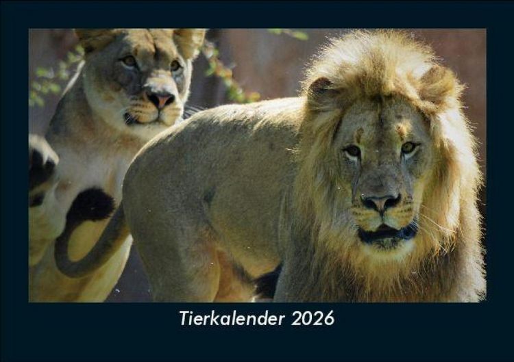 Produktbild: Tierkalender 2026 Fotokalender DIN A5
