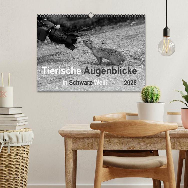 Produktbild: Tierische Augenblicke in Schwarz-Wei&szlig; (Wandkalender 2026 DIN A3 quer), CALVENDO Monatskalender
