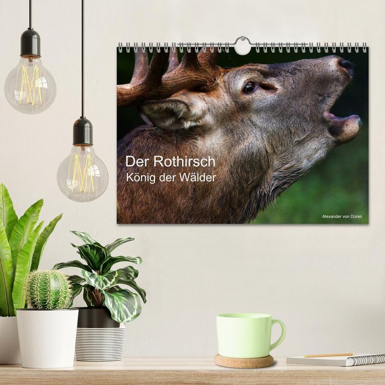 Produktbild: Der Rothirsch, K&ouml;nig der W&auml;lder (Wandkalender 2026 DIN A4 quer), CALVENDO Monatskalender