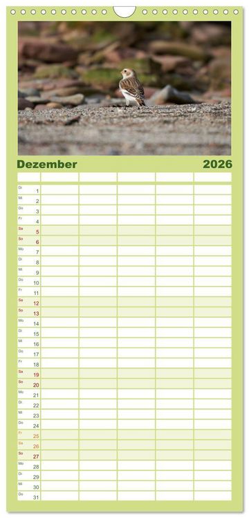 Produktbild: Familienplaner 2026 - Wilde Vogelwelt Helgoland mit 5 Spalten (Wandkalender, 21 x 45 cm) CALVENDO