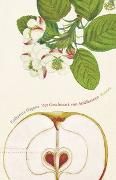 Produktbild: Der Geschmack von Apfelkernen