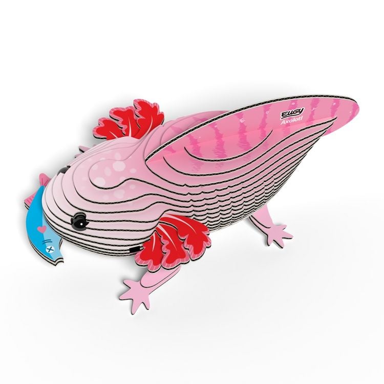 Produktbild: EUGY - 3D Bastelset Axolotl