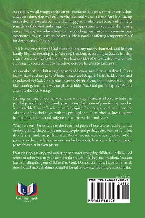 Produktbild: The Debris of Drugs and Alcohol