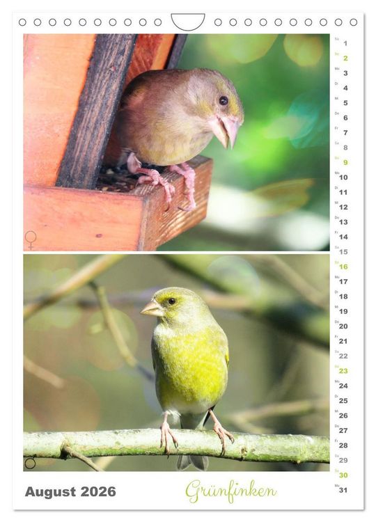 Produktbild: Vogel-Paare (Wandkalender 2026 DIN A4 hoch), CALVENDO Monatskalender