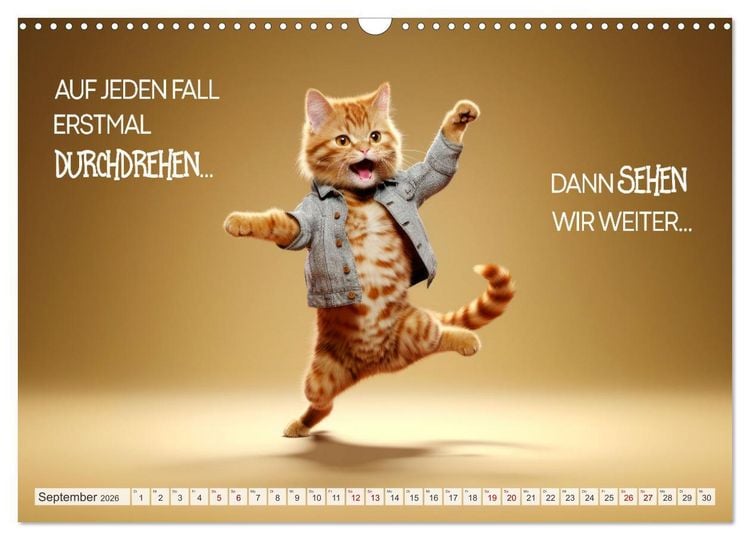 Produktbild: KATZEN-IRONIE Lach mal wieder (Wandkalender 2026 DIN A3 quer), CALVENDO Monatskalender
