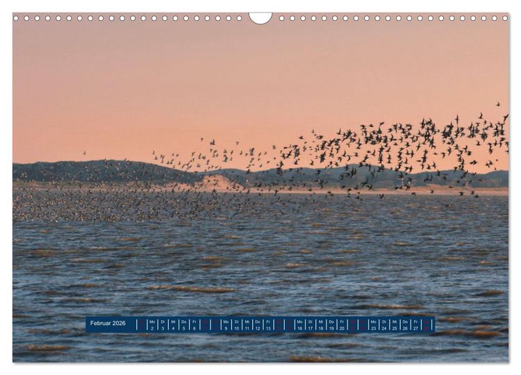 Produktbild: Ein Tag am Meer - Impressionen von der Insel Sylt (Wandkalender 2026 DIN A3 quer), CALVENDO Monatskalender