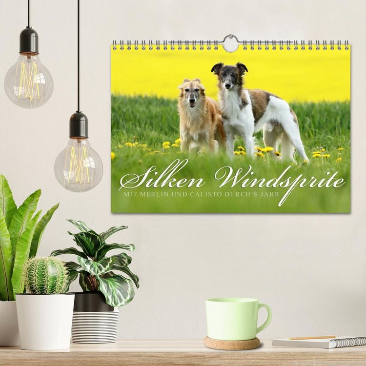 Produktbild: Silken Windsprite - Mit Merlin und Calisto durch&acute;s Jahr 2026 (Wandkalender 2026 DIN A4 quer), CALVENDO Monatskalender