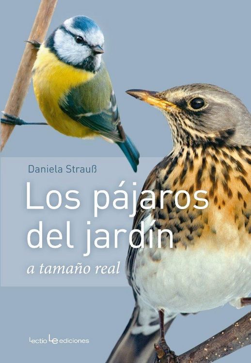 Produktbild: Los p&aacute;jaros del jard&iacute;n : a tama&ntilde;o natural