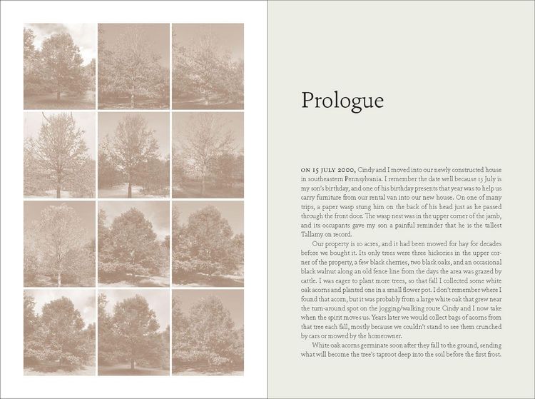 Produktbild: The Nature of Oaks