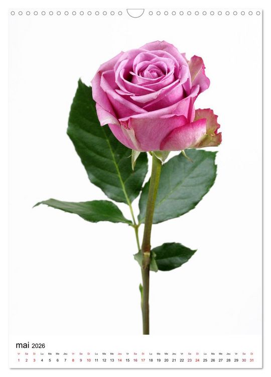 Produktbild: Fleurs &eacute;l&eacute;gantes (Calendrier mural 2026 DIN A3 horizontal), CALVENDO calendrier mensuel