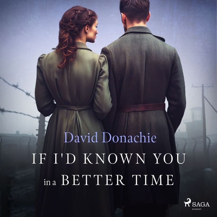 Produktbild: If I'd Known You in a Better Time