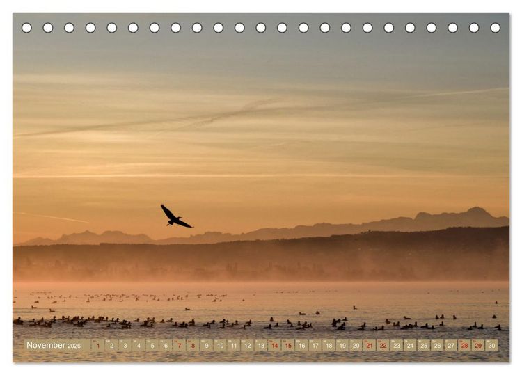 Produktbild: Zauberhafter Westlicher Bodensee (Tischkalender 2026 DIN A5 quer), CALVENDO Monatskalender