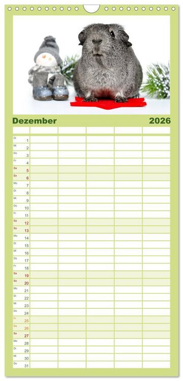 Produktbild: Familienplaner 2026 - Meerschweinchen Niedliche Herzensbrecher mit 5 Spalten (Wandkalender, 21 x 45 cm) CALVENDO