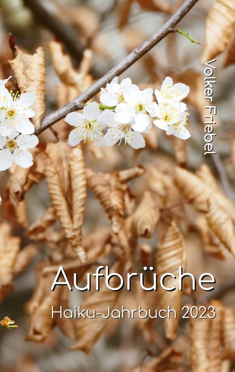 Produktbild: Aufbr&uuml;che
