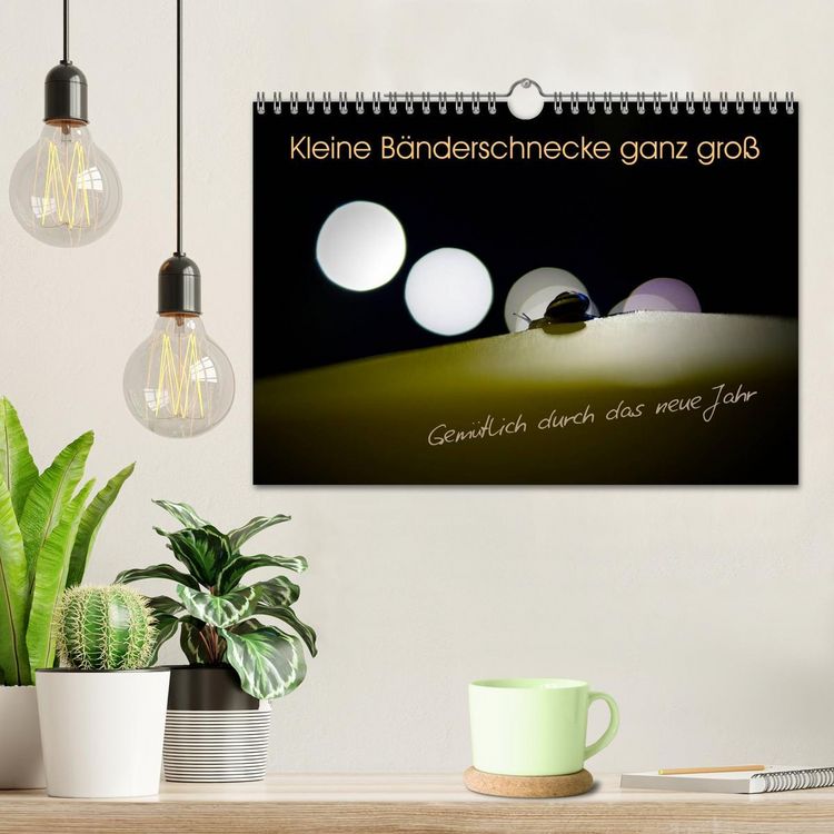 Produktbild: Kleine B&auml;nderschnecke ganz gro&szlig; - Gem&uuml;tlich durch das neue Jahr (Wandkalender 2026 DIN A4 quer), CALVENDO Monatskalender