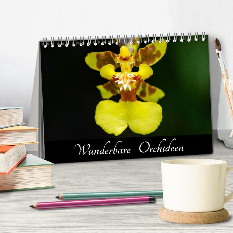 Produktbild: Wunderbare Orchideen (Tischkalender 2026 DIN A5 quer), CALVENDO Monatskalender