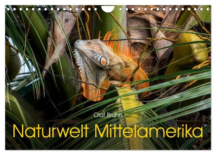 Produktbild: Naturwelt Mittelamerika (Wandkalender 2027 DIN A4 quer), CALVENDO Monatskalender