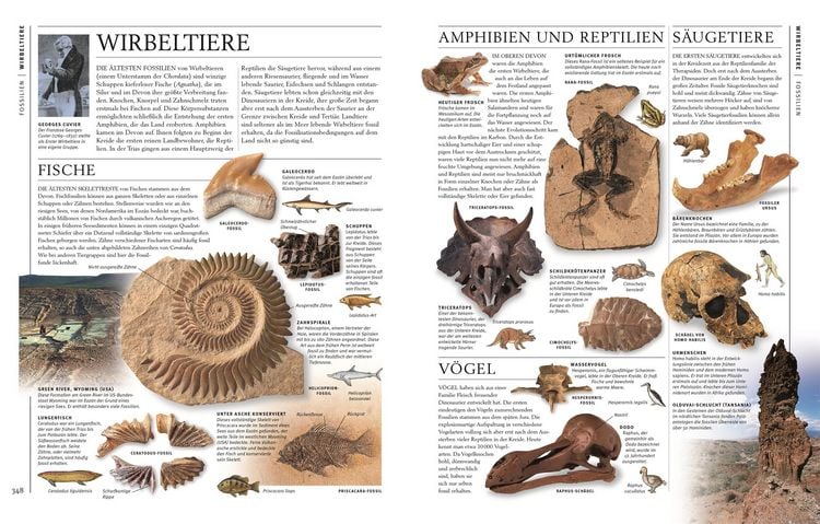 Produktbild: Steine & Mineralien