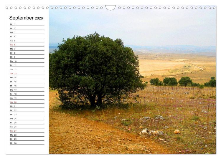 Produktbild: Jakobsweg - Camino Frances (Wandkalender 2026 DIN A3 quer), CALVENDO Monatskalender