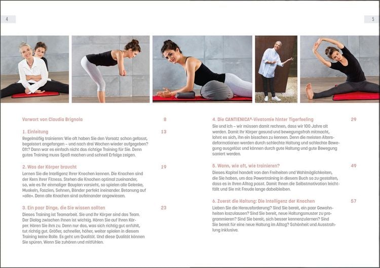 Produktbild: Powertraining mit Tigerfeeling