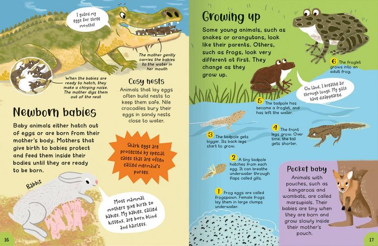 Produktbild: Encyclopedia of Incredible Things