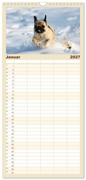 Produktbild: Familienplaner 2027 - Mops mit 5 Spalten (Wandkalender, 21 x 45 cm) CALVENDO