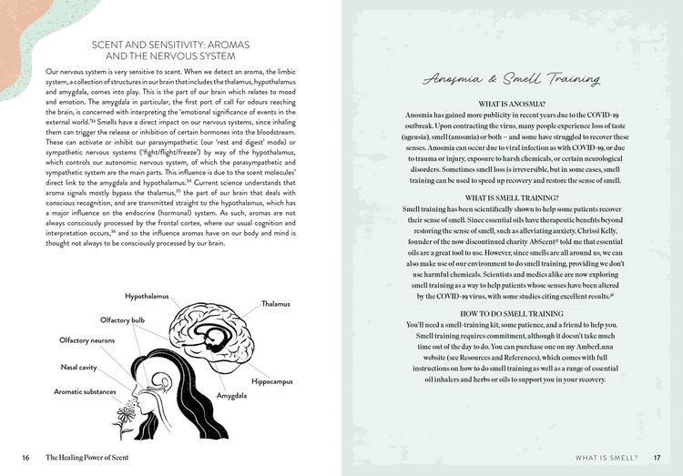 Produktbild: The Healing Power of Scent