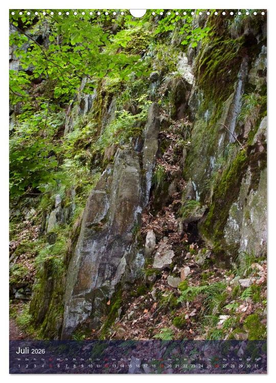 Produktbild: Wildes Bodetal (Wandkalender 2026 DIN A3 hoch), CALVENDO Monatskalender