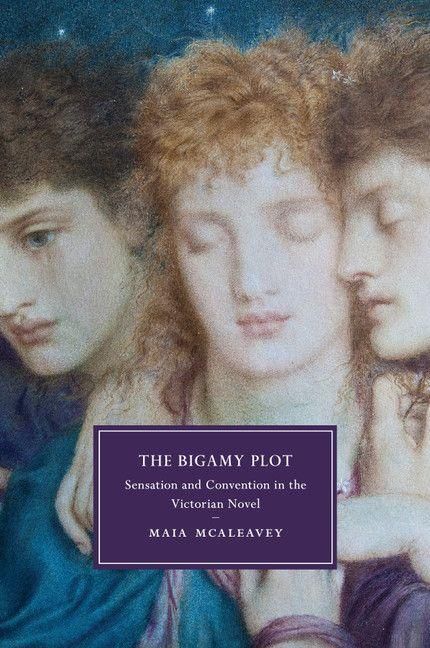 Produktbild: The Bigamy Plot