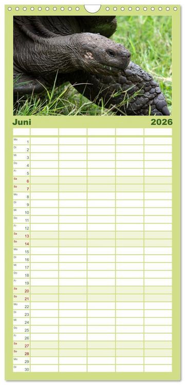Produktbild: Familienplaner 2026 - Die faszinierende Tierwelt der Galapagos-Inseln mit 5 Spalten (Wandkalender, 21 x 45 cm) CALVENDO