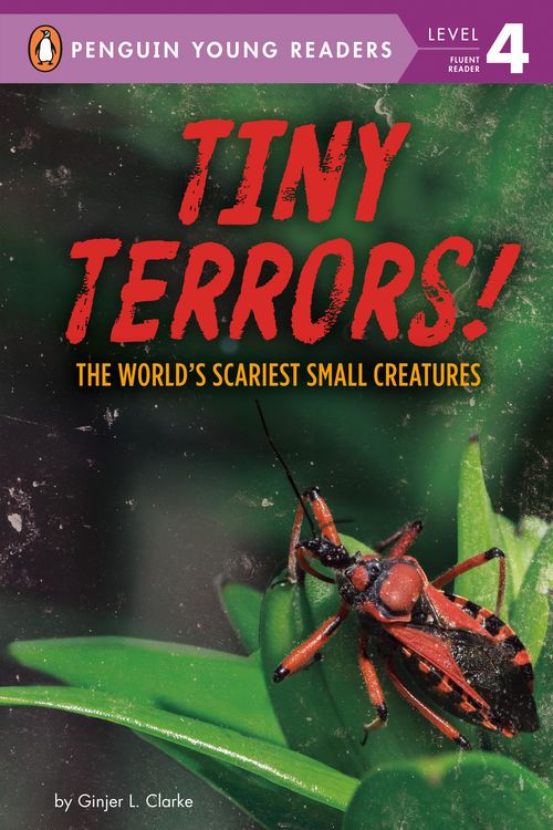 Produktbild: Tiny Terrors!