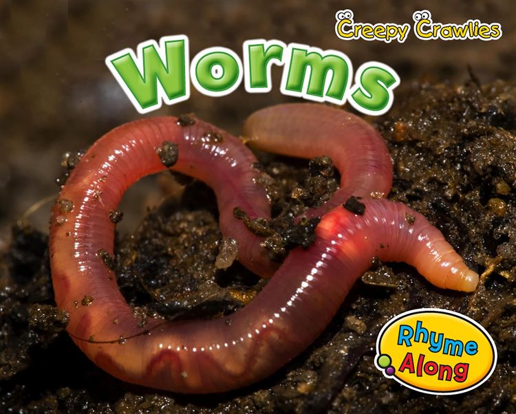 Produktbild: Worms