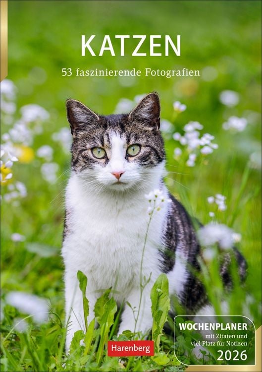 Produktbild: Katzen Wochenplaner 2026 - 53 faszinierende Fotografien