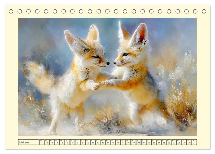 Produktbild: Fenneks. Kleine W&uuml;stenf&uuml;chse im Saharasand (Tischkalender 2027 DIN A5 quer), CALVENDO Monatskalender