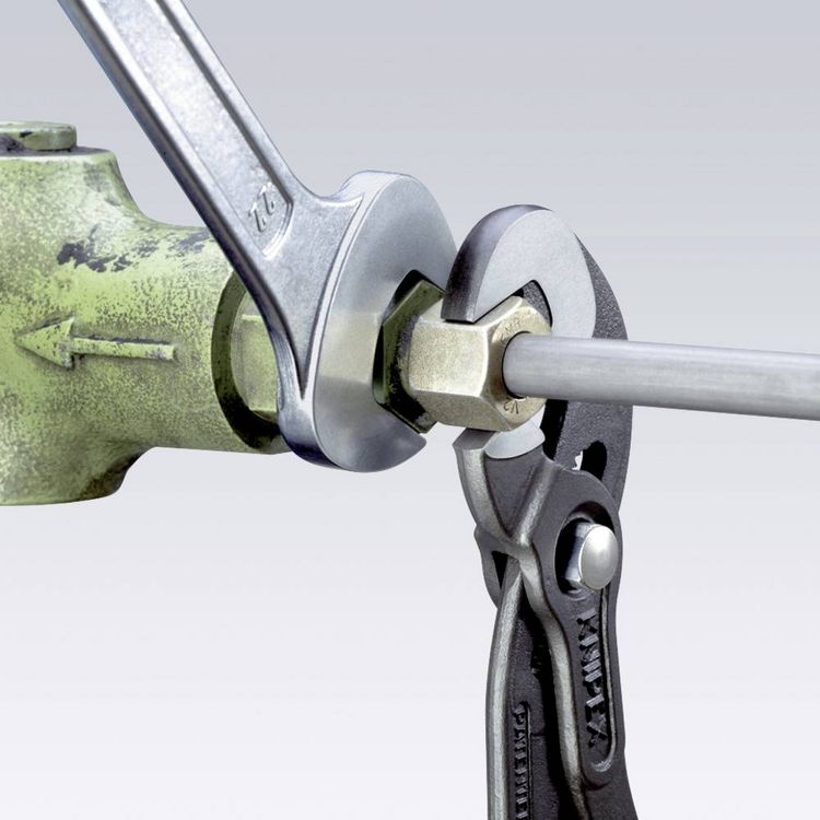 Produktbild: Knipex-Werk Schraubzange 87 41 250