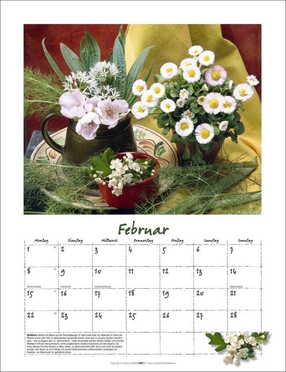 Produktbild: Augenschmaus Kalender 2027 - Gew&uuml;rze und Kr&auml;uter rund ums Jahr