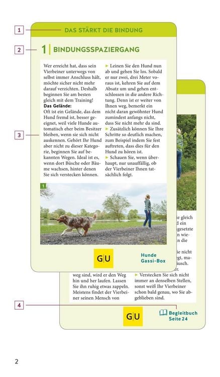 Produktbild: Hunde-Gassi-Box