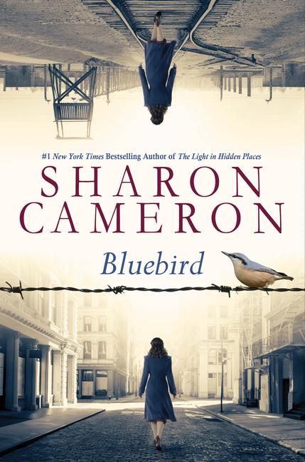 Produktbild: Bluebird