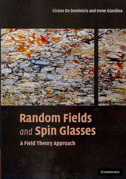 Produktbild: Random Fields and Spin Glasses