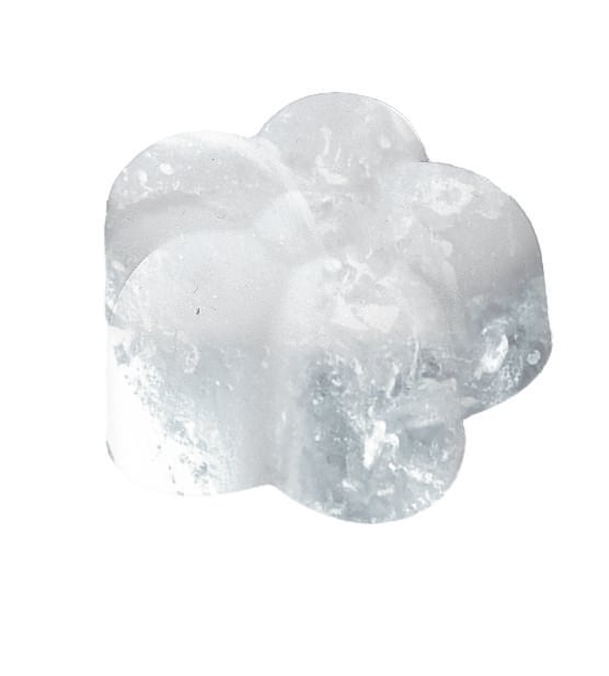 Produktbild: Blatt & Bl&uuml;te Eisw&uuml;rfelform