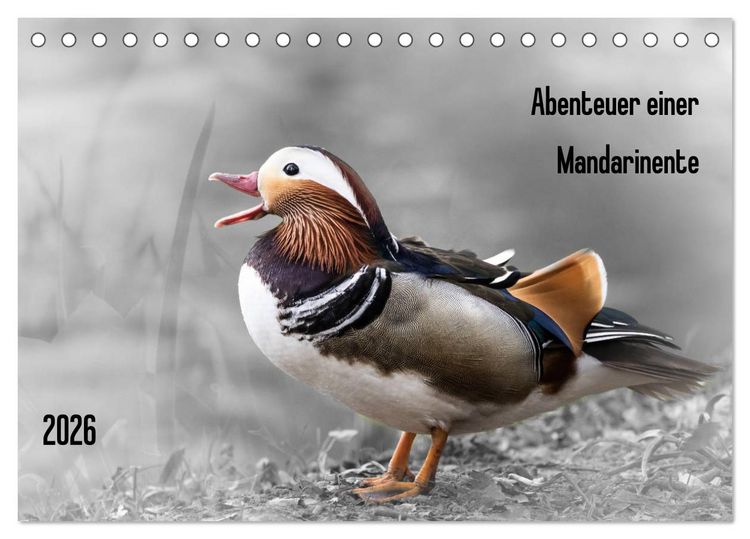 Produktbild: Abenteuer einer Mandarinente (Tischkalender 2026 DIN A5 quer), CALVENDO Monatskalender